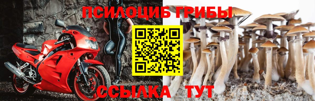 Псилоцибиновые грибы мухоморы  Вход с VPN  Мурманск 